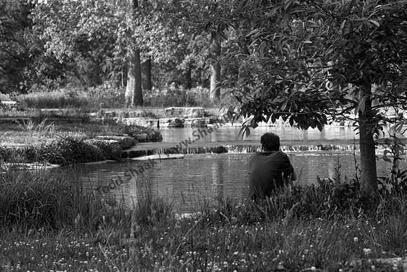 Forest Park