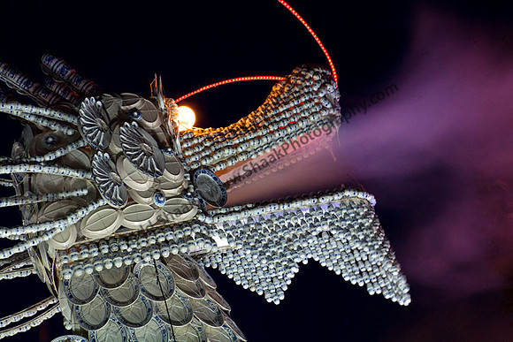 Missouri Botanical Garden Lantern Festival