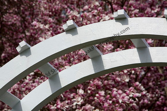 Missouri Botanical Gardens