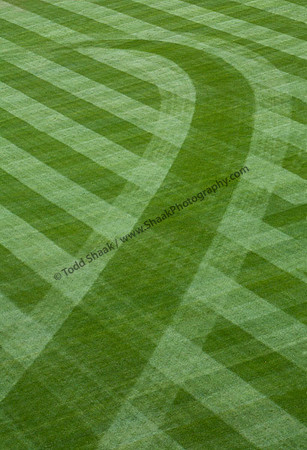 New Busch Stadium