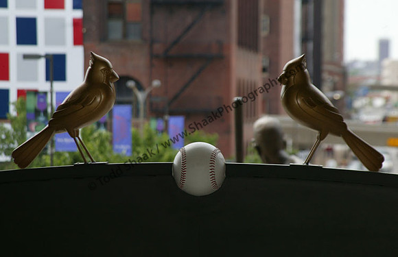 New Busch Stadium