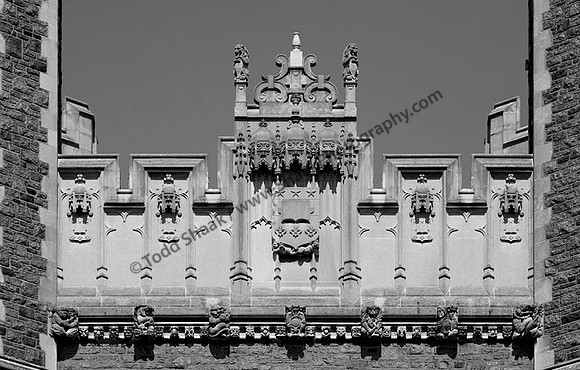 Washington University / Wash U. St. Louis Mo.