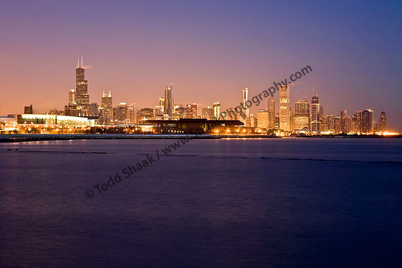 Chicago Skyline Chicago IL