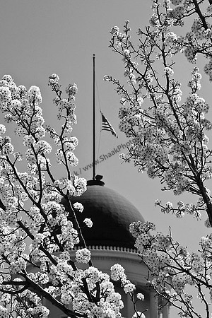 Springfield IL