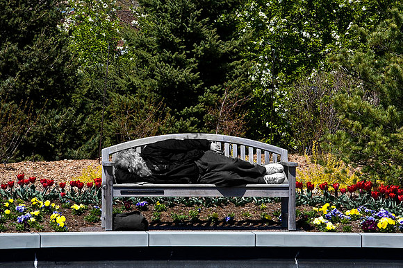 Missouri Botanical Gardens