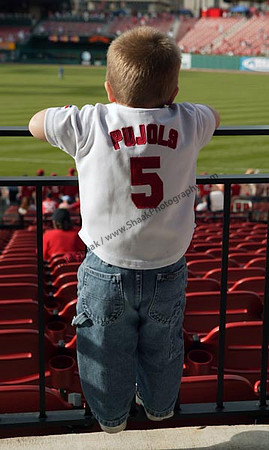 New Busch Stadium