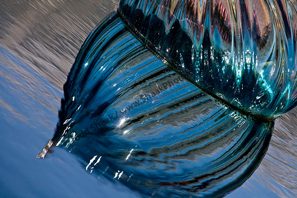 Chihuly Onions at the Missouri Botanical Gardens