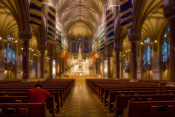 St Francis Xavier College Church At Saint Louis University