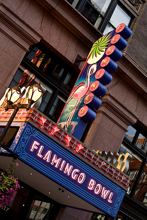Flamingo Bowl