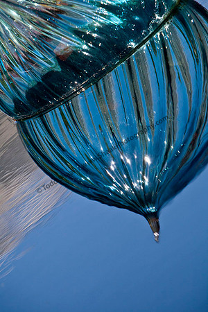 Chihuly Onions at the Missouri Botanical Gardens